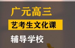 广元传媒生文化课补习机构,高三艺考生文化课辅导班