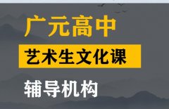 广元艺术生文化课辅导机构,高中文化课集训班