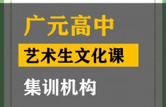 广元体育生文化课集训怎么收费,高中艺术生文化课培训机构