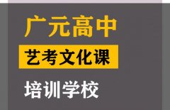 广元艺考文化课培训机构,高三文化课培训学校