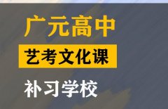 广元音乐生文化课培训班,高中艺考文化课补习学校