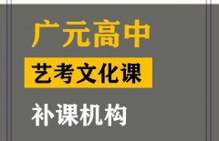 广元艺术生文化课冲刺班,高中艺考生文化课补课机构