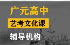 广元传媒生文化课辅导机构,高中文化课辅导机构