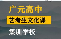 广元艺考2024文化分要求高