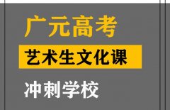 广元传媒生文化课集训机构,高考艺考文化课冲刺学校