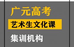 广元艺术生文化课集训怎么收费,高考文化课冲刺机构