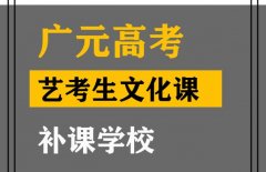 广元艺术生文化课补习学校,高考艺术生文化课补课学校