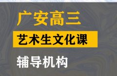 广安艺术生文化课冲刺哪家好,高三艺术生文化课辅导机构