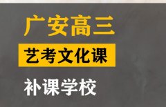 广安美术生文化课培训学校,高三文化课补课学校