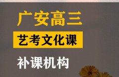 广安音乐生文化课补习机构,高三文化课补课机构