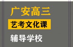 雅安美术生文化课辅导哪家好,高三文化课辅导学校