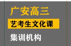 广安音乐生文化课培训怎么收费,高三艺考生文化课提分机构