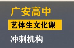 广安艺体生文化课冲刺机构,高三文化课培训班