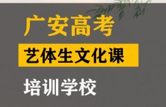 广安体育生文化课培训哪家好,高中文化课提分学校