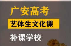 广安体育生文化课补习班,高中文化课冲刺班