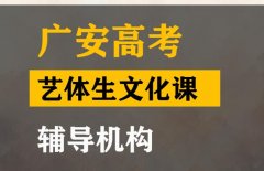 广安艺体生文化课培训机构,高考文化课辅导机构