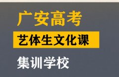 广安艺体生文化课辅导学校,高三文化课集训学校