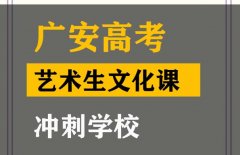 广汉市艺术生文化课冲刺中心,高三文化课补课班