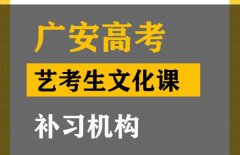 广安传媒生文化课补习机构,高考文化课提分机构