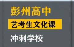 彭州市艺考生文化课冲刺机构,高三艺考文化课提分学校