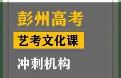 彭州市艺考文化课冲刺机构,高三文化课提分机构