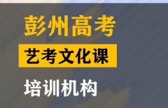 彭州市美术生文化课补课机构,高考艺考文化课培训班