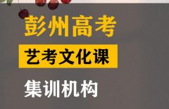 彭州市艺考文化课集训学