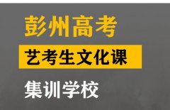 崇州市艺考生文化课补课班,高考艺考生文化课集训学校