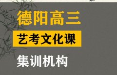 德阳艺考文化课考几门,高三艺考文化课集训机构