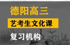 德阳美术生文化课补习机构,高三艺考生文化课提分机构