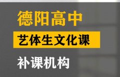 德阳艺体生文化课冲刺哪家好,高三文化课补课机构