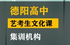 德阳音乐生文化课集训班,高三文化课提分机构