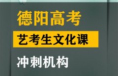 德阳艺考生文化课冲刺机构,高三文化课冲刺机构