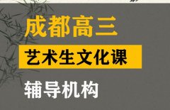 成都艺术生文化课辅导机构,高三文化课集训班