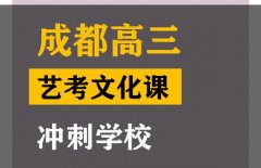 成都金牛区艺考生文化课培训机构,高三艺考文化课冲刺学校