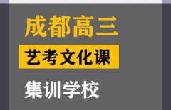 成都艺考生文化课辅导班,高三艺考生文化课集训班