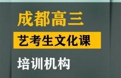 成都成华区舞蹈生文化课集训机构,高三艺考生文化课培训班