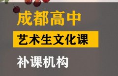 成都音乐生文化课冲刺学校,高中艺术生文化课补习机构