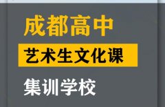 成都美术生文化课辅导班,高中艺术生文化课集训学校