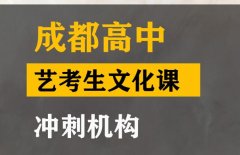 成都音乐生文化课培训怎么收费,高中文化课冲刺机构