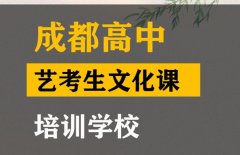 成都艺考生文化课培训学校,高中文化课培训学校