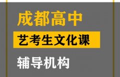 成都美术生文化课集训哪家好,高中艺考文化课辅导机构