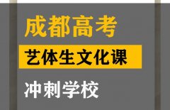 成都艺体生文化课培训学校,高中文化课冲刺学校