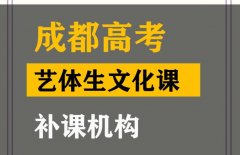 成都艺体生文化课补习怎么收费,高三文化课提分班