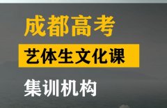 成都成华区艺体生文化课