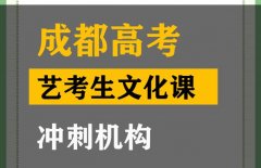 成都龙泉驿区艺考文化课辅导机构,高考艺术生文化课冲刺机构