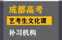 成都成华区表演生文化课补习机构,高中文化课冲刺班