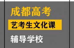 成都艺考生文化课冲刺班,高考文化课辅导班