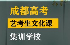 成都金牛区艺考生文化课集训学校,高三文化课集训班