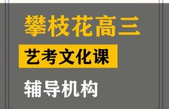 攀枝花艺体生文化课辅导班,高考艺考文化课辅导机构